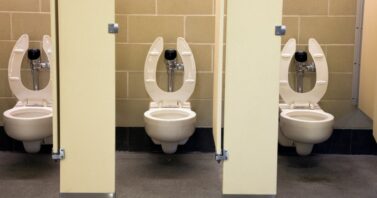 November 19 is World Toilet Day