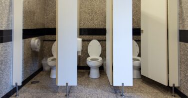 November 19 is World Toilet Day