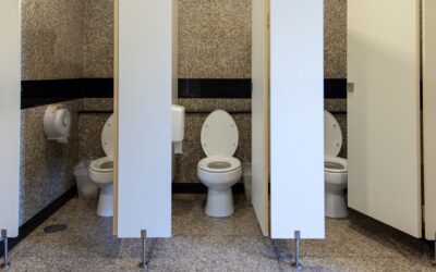 November 19 is World Toilet Day