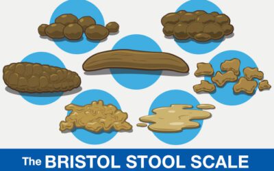 The Perfect Printable Poop Guide – In Depth Stool Chart