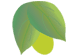 SunFiber leaf icon