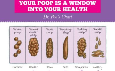 Dr. Poo’s kid-friendly bathroom resource