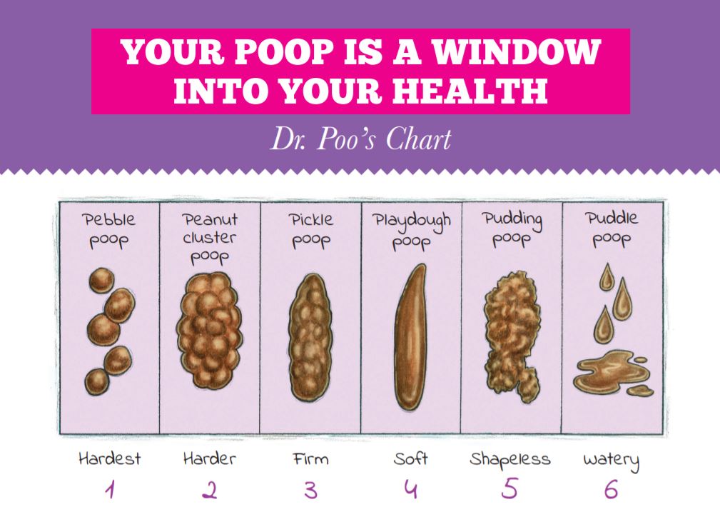 Your Poop is a Window Into Your Health Dr. Poop's Chart