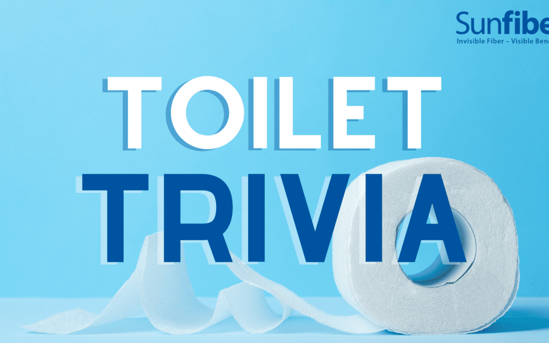 Ten bits of toilet trivia you should know