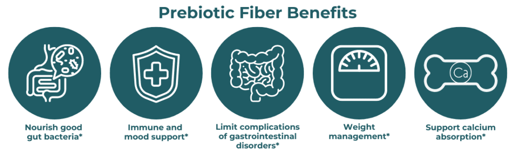 5 Benefits of Prebiotic Fiber