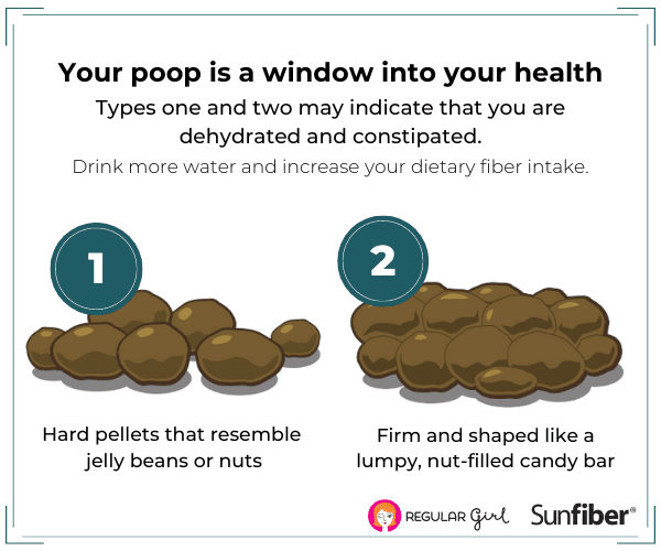 Fiber and bowel movement regularity