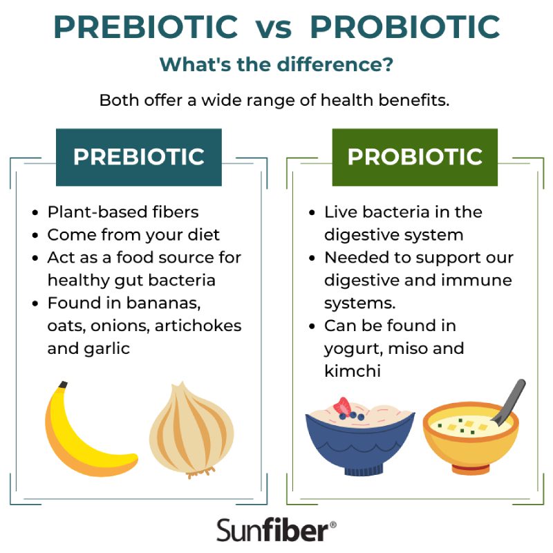 Explaining Prebiotics vs Probiotics